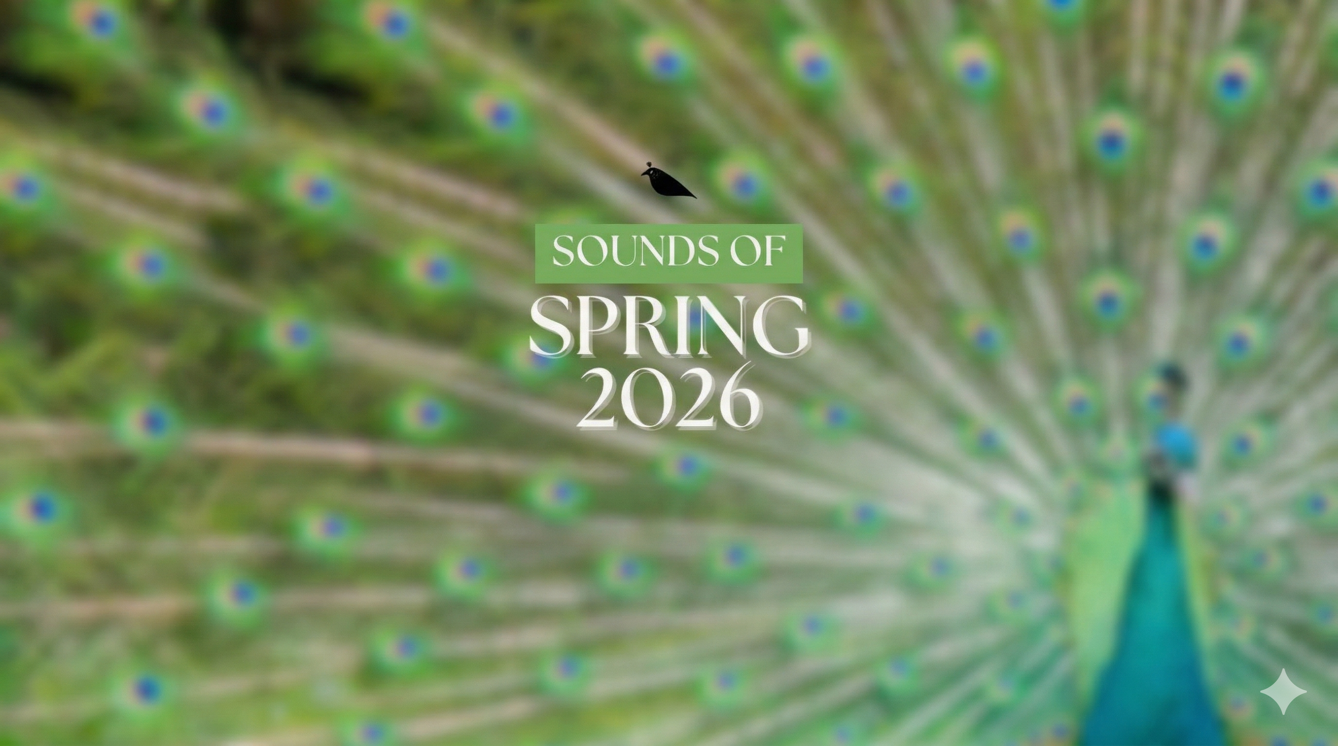 Black Raven Beads Sounds of Spring 2026 & Free Promo Lock | TAB – The ...