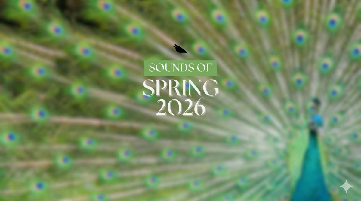 A Whisper of New Life: The Black Raven Beads Sounds of Spring 2026 Collection