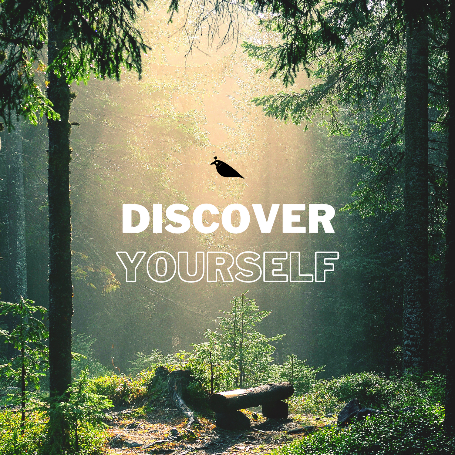 Discover Yourself