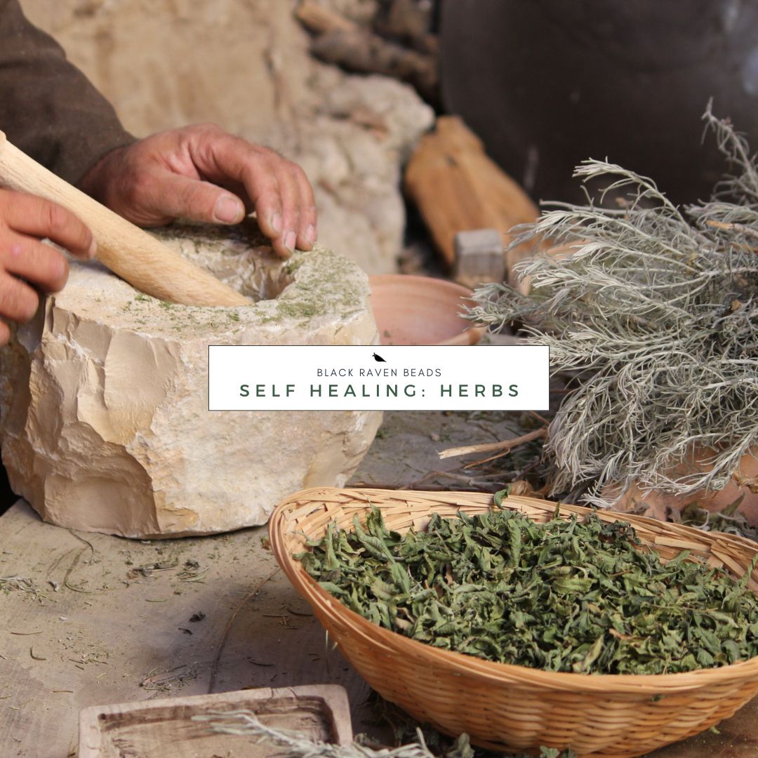 Black Raven Beads Self Healing: Herbs 2025 Collection Sterling Silver and Glass Charms at The Alternative Bead