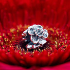 Elfbeads Cherry Blossoms silver sterling-silver Bead by The Alternative Bead. Your official Elfbeads Retailer from Germany