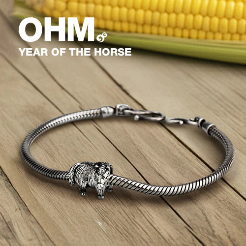Year of the Horse