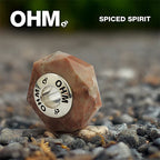 OHM Beads Spiced Spirit brown natural-stone Bead by The Alternative Bead. Your official OHM Beads Retailer from Germany