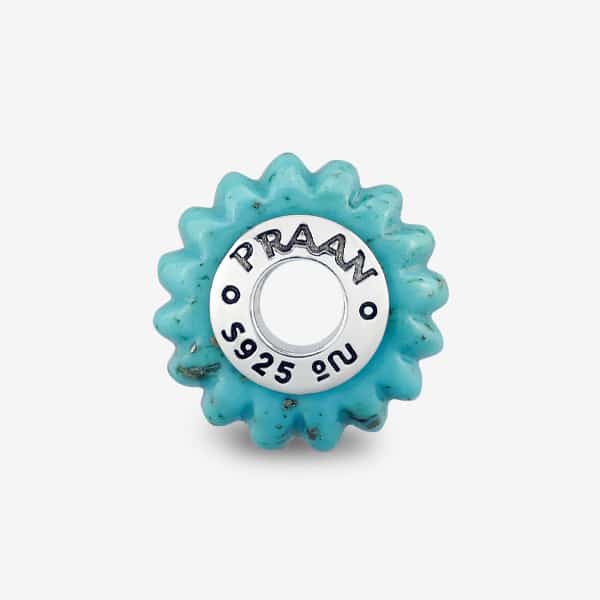 Turquoise Craved Charm C