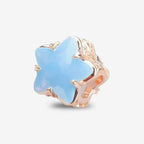 Praan All-Star Crystal Charm silver crystal Bead by The Alternative Bead. Your official Praan Retailer from Germany