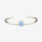 Praan All-Star Crystal Charm silver crystal Bead by The Alternative Bead. Your official Praan Retailer from Germany