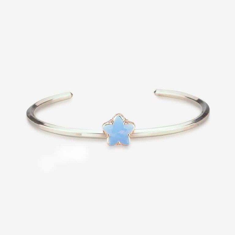 Praan All-Star Crystal Charm silver crystal Bead by The Alternative Bead. Your official Praan Retailer from Germany