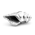 Black Raven Beads Conch Shell silver sterling-silver Charm by The Alternative Bead. Your official Black Raven Beads Retailer from Germany
