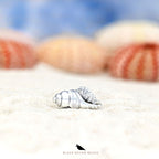 Black Raven Beads Conch Shell silver sterling-silver Charm by The Alternative Bead. Your official Black Raven Beads Retailer from Germany