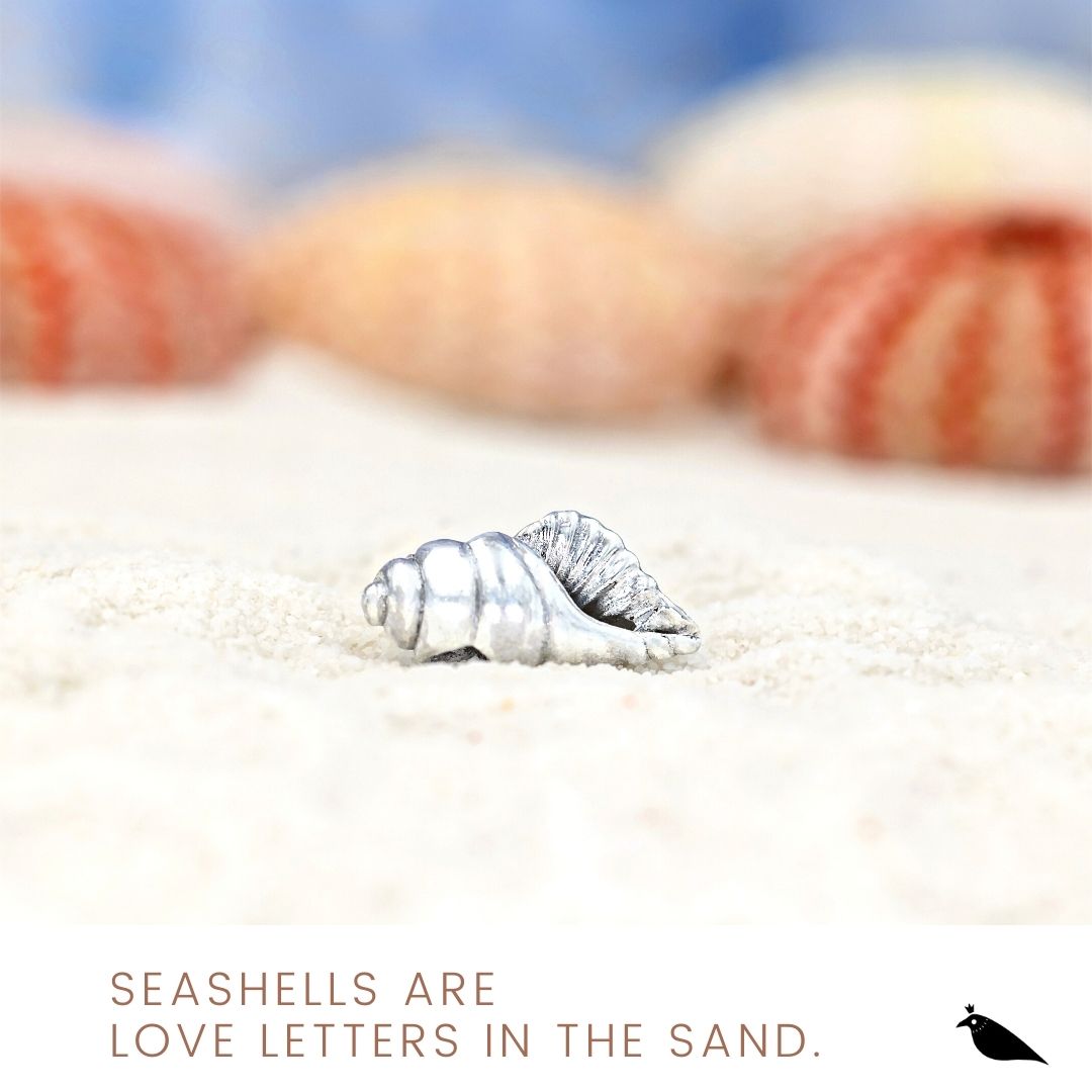 Black Raven Beads Conch Shell silver sterling-silver Charm by The Alternative Bead. Your official Black Raven Beads Retailer from Germany