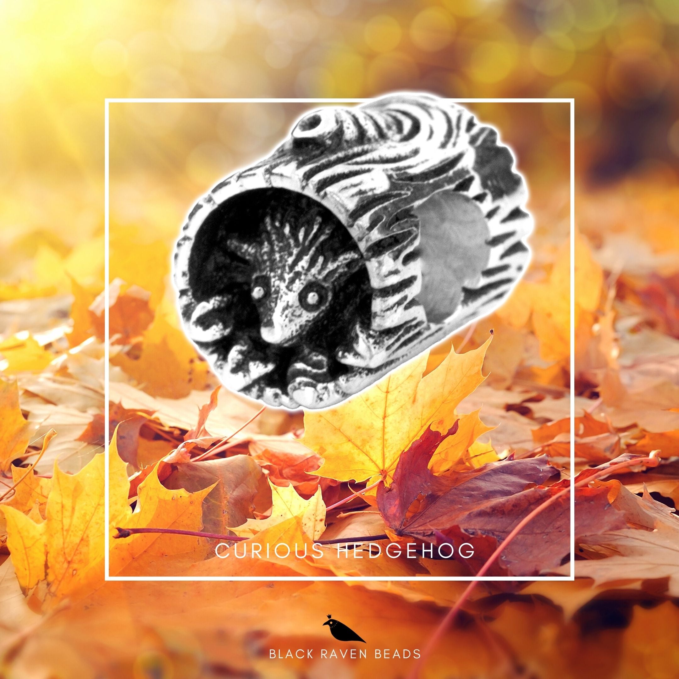 Black Raven Beads Curious Hedgehog silver sterling-silver Charm by The Alternative Bead. Your official Black Raven Beads Retailer from Germany