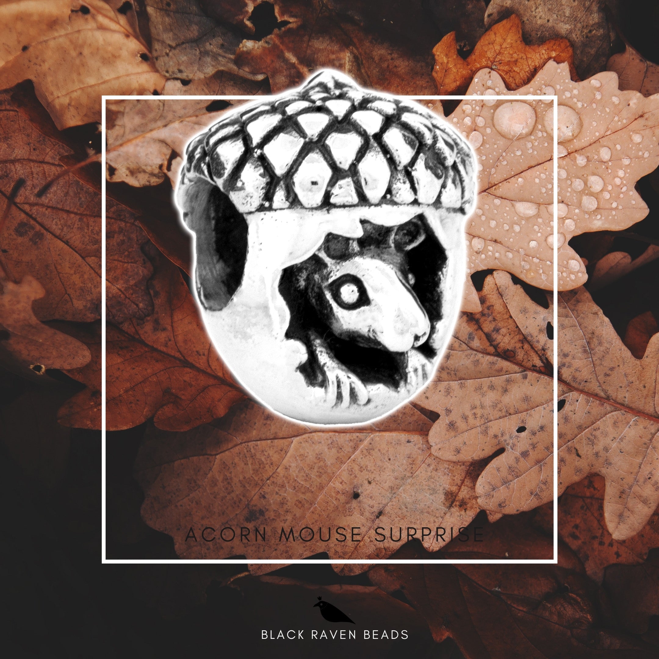Black Raven Beads Acorn Mouse Surprise silver sterling-silver Charm by The Alternative Bead. Your official Black Raven Beads Retailer from Germany