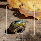 Black Raven Beads Magical Moss green and gray glass Charm by The Alternative Bead. Your official Black Raven Beads Retailer from Germany