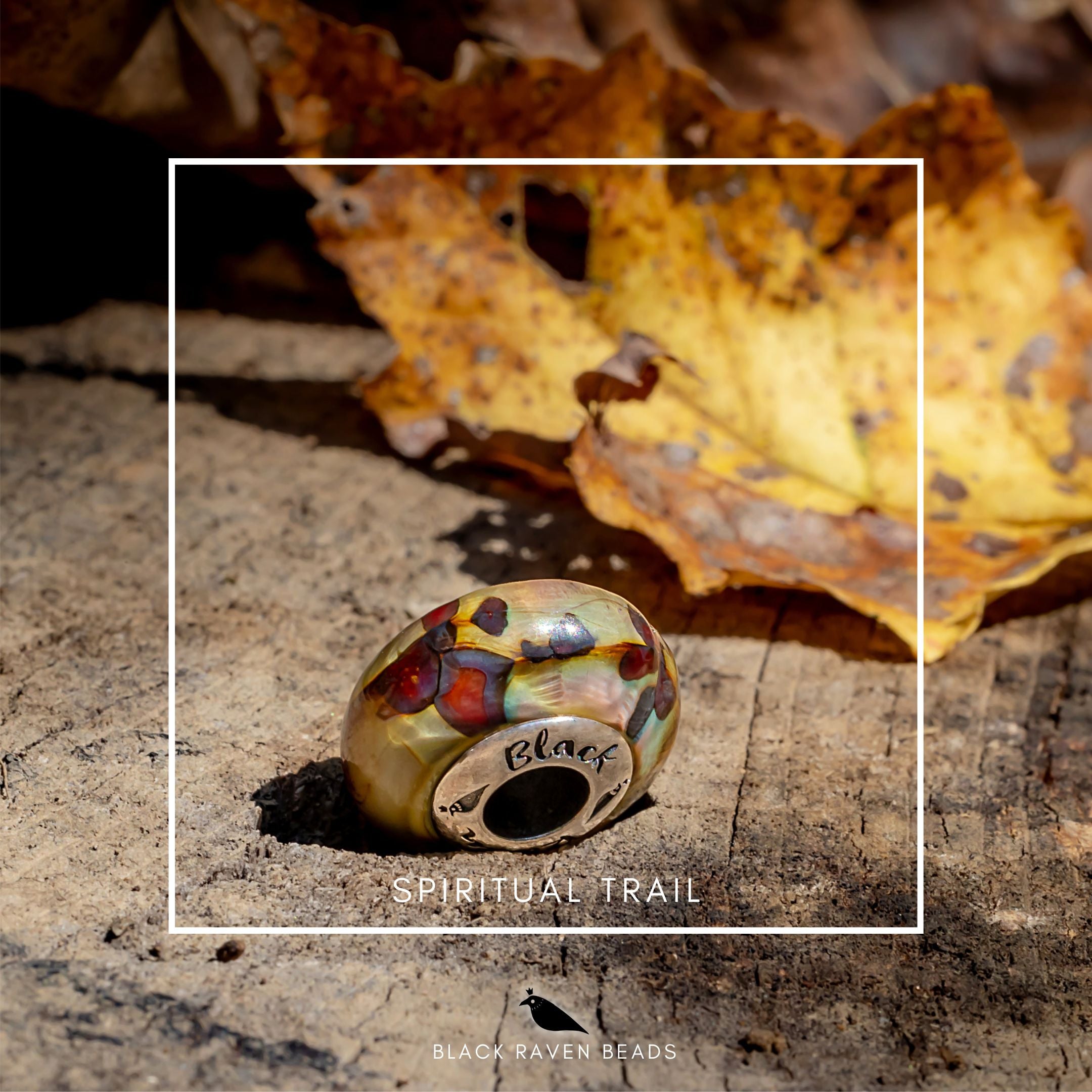 Black Raven Beads Spiritual Trail silver and multicolor and brown glass Charm by The Alternative Bead. Your official Black Raven Beads Retailer from Germany