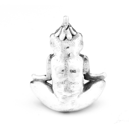 Meditation Frog