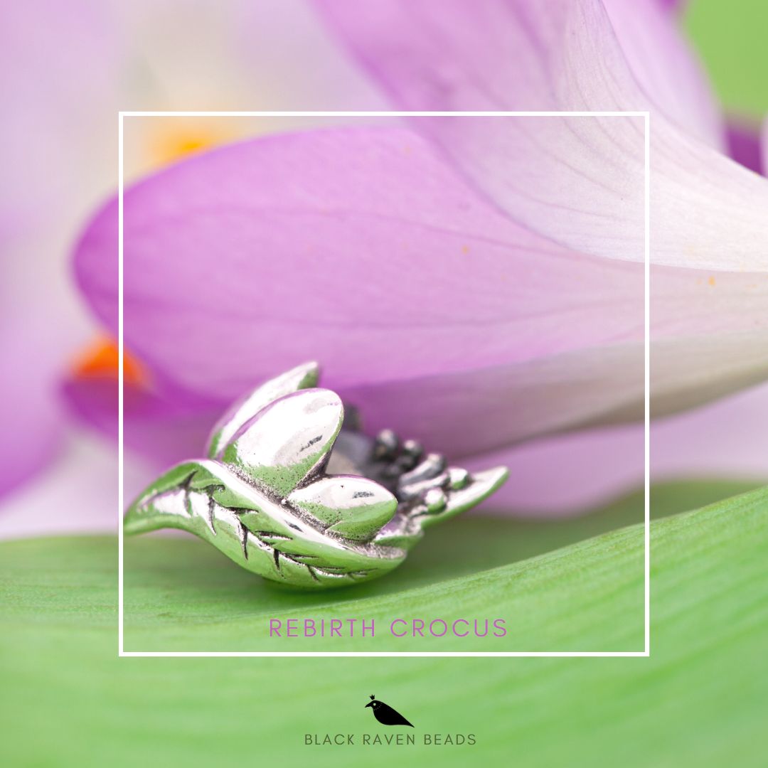 Black Raven Beads Rebirth Crocus silver sterling-silver Charm by The Alternative Bead. Your official Black Raven Beads Retailer from Germany