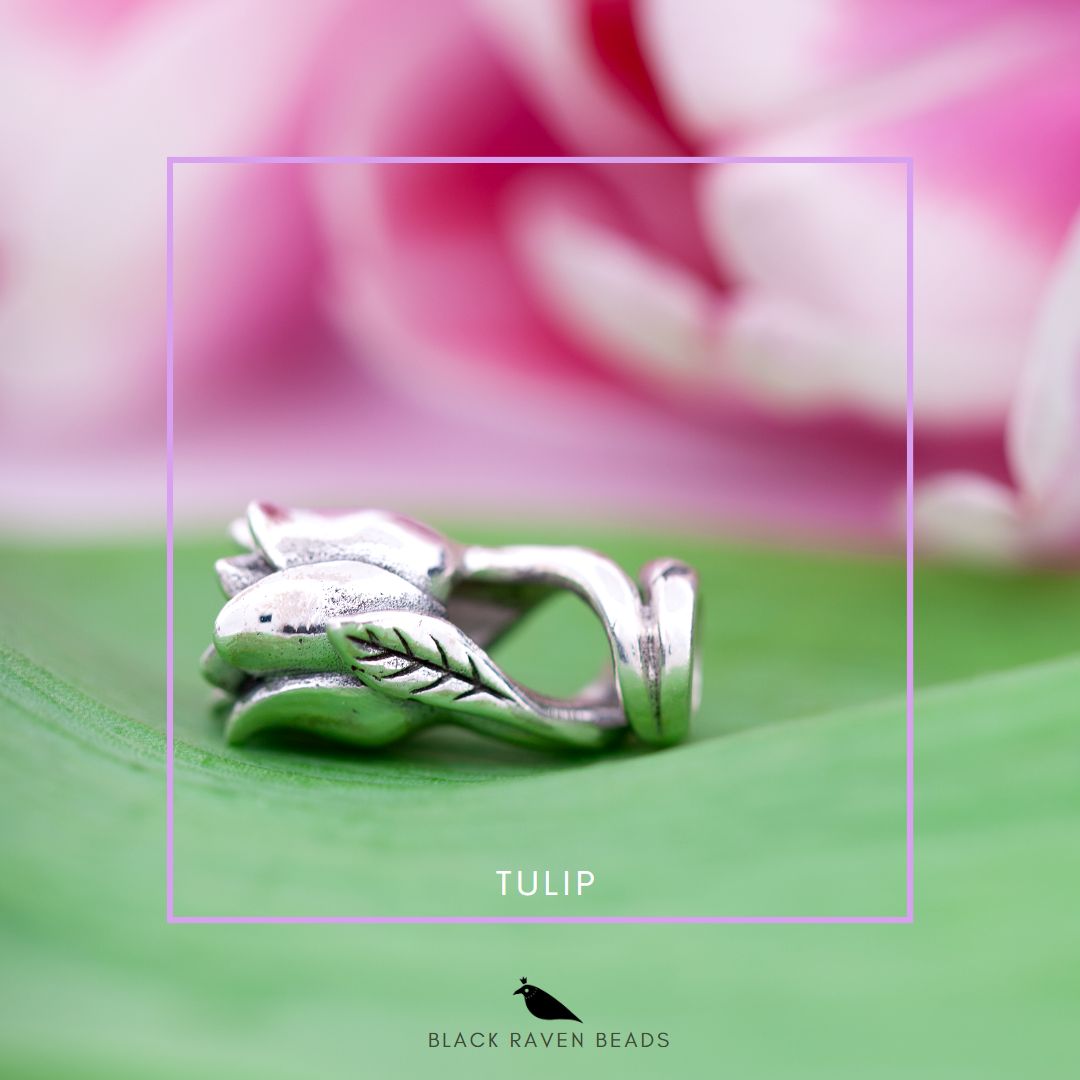 Tulip