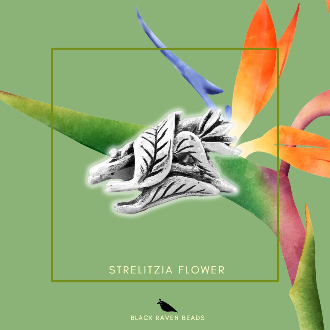 Sterlizia flower