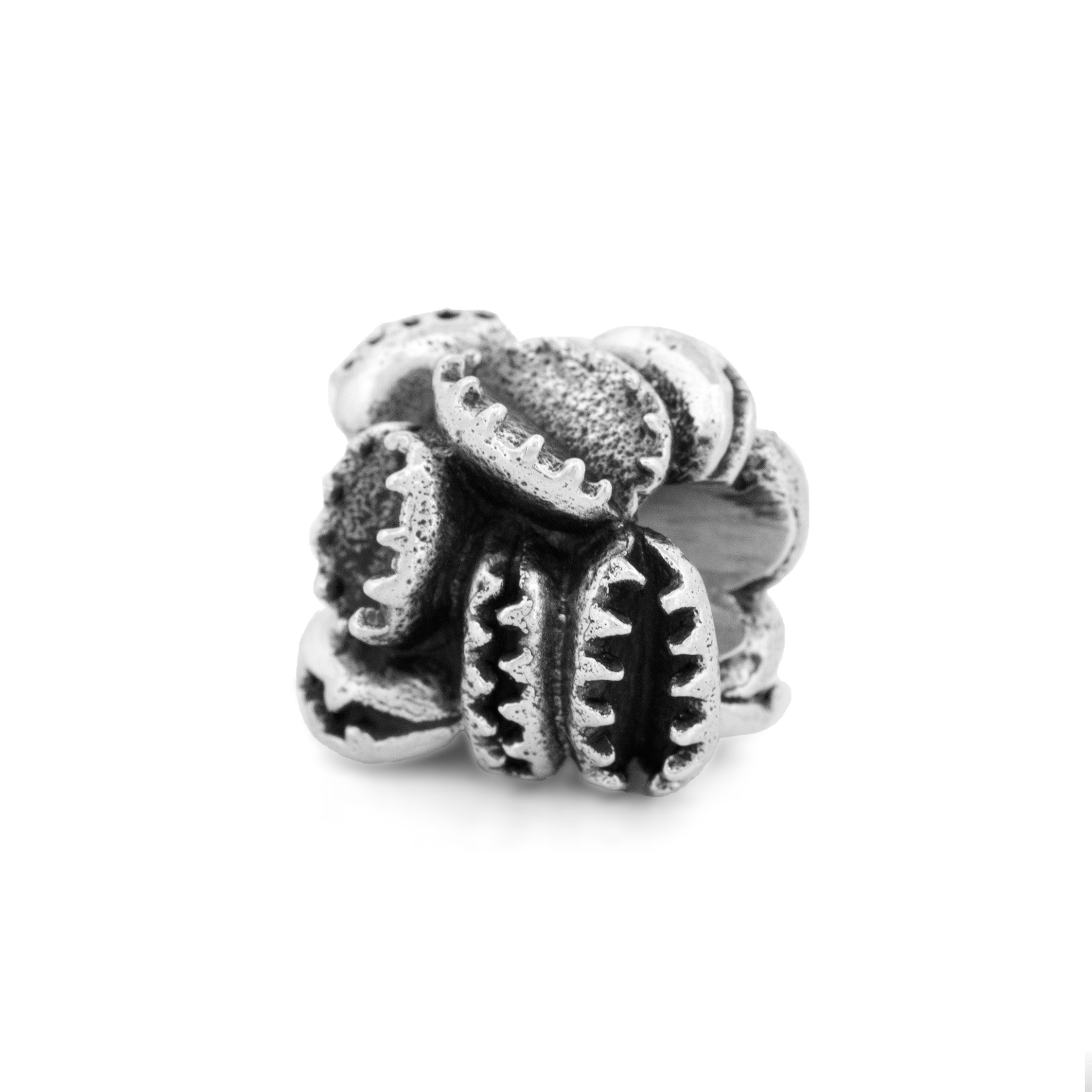 Black Raven Beads Enchantress Collectors Set 2024 by The Alternative Bead. Your official Black Raven Beads Retailer from Germany