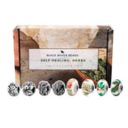 Black Raven Beads Self Healing: Herbs Collectors Set silver and multicolor sterling-silver and glass Collectors Set by The Alternative Bead. Your official Black Raven Beads Retailer from Germany