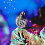 Elfbeads Ocean Star silver sterling-silver Bead by The Alternative Bead. Your official Elfbeads Retailer from Germany