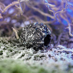 Elfbeads Frozen Wish silver sterling-silver Bead by The Alternative Bead. Your official Elfbeads Retailer from Germany