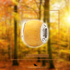 Black Raven Beads Jackfruit Wood Charm by The Alternative Bead. Your official Black Raven Beads Retailer from Germany