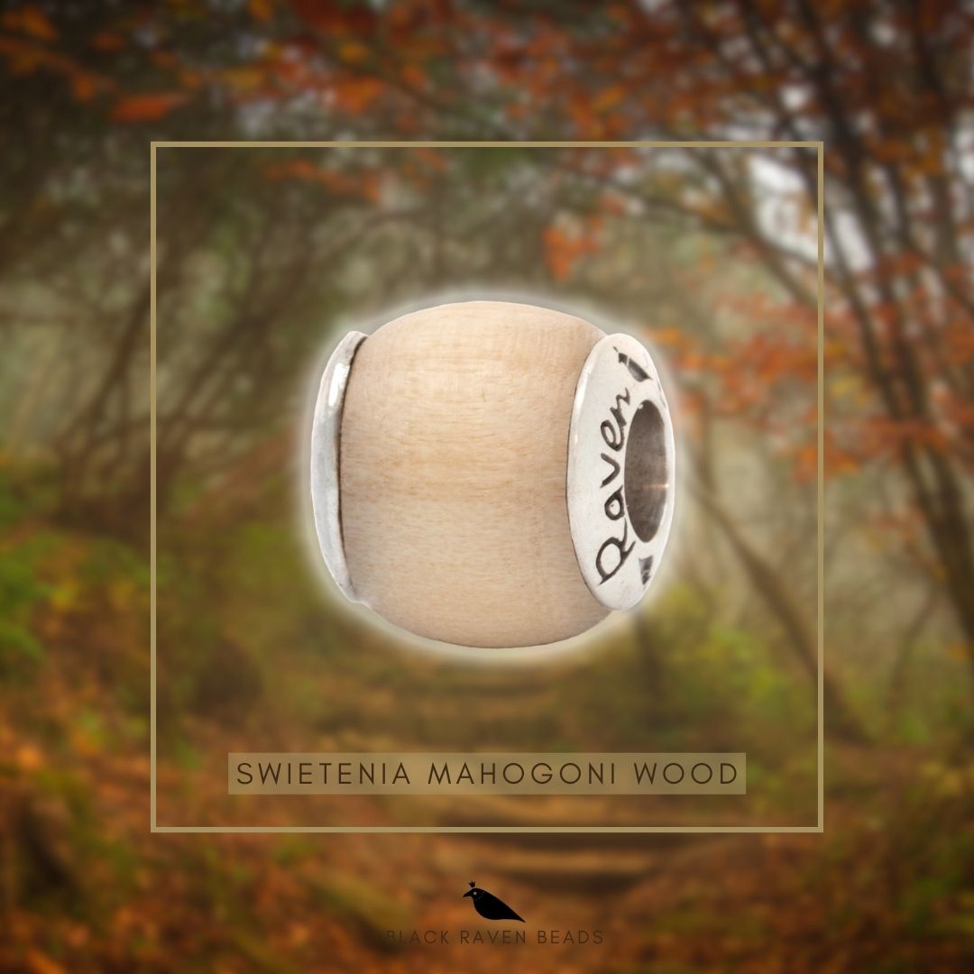 Black Raven Beads Swietenia Mahagoni Wood Charm by The Alternative Bead. Your official Black Raven Beads Retailer from Germany