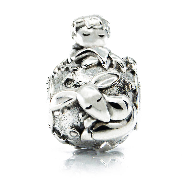 Aurora Charm The World of The Little Prince Charm silver sterling-silver Bead by The Alternative Bead. Your official Aurora Charm Retailer from Germany