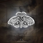 Black Raven Beads Enchantress Collectors Set by The Alternative Bead. Your official Black Raven Beads Retailer from Germany